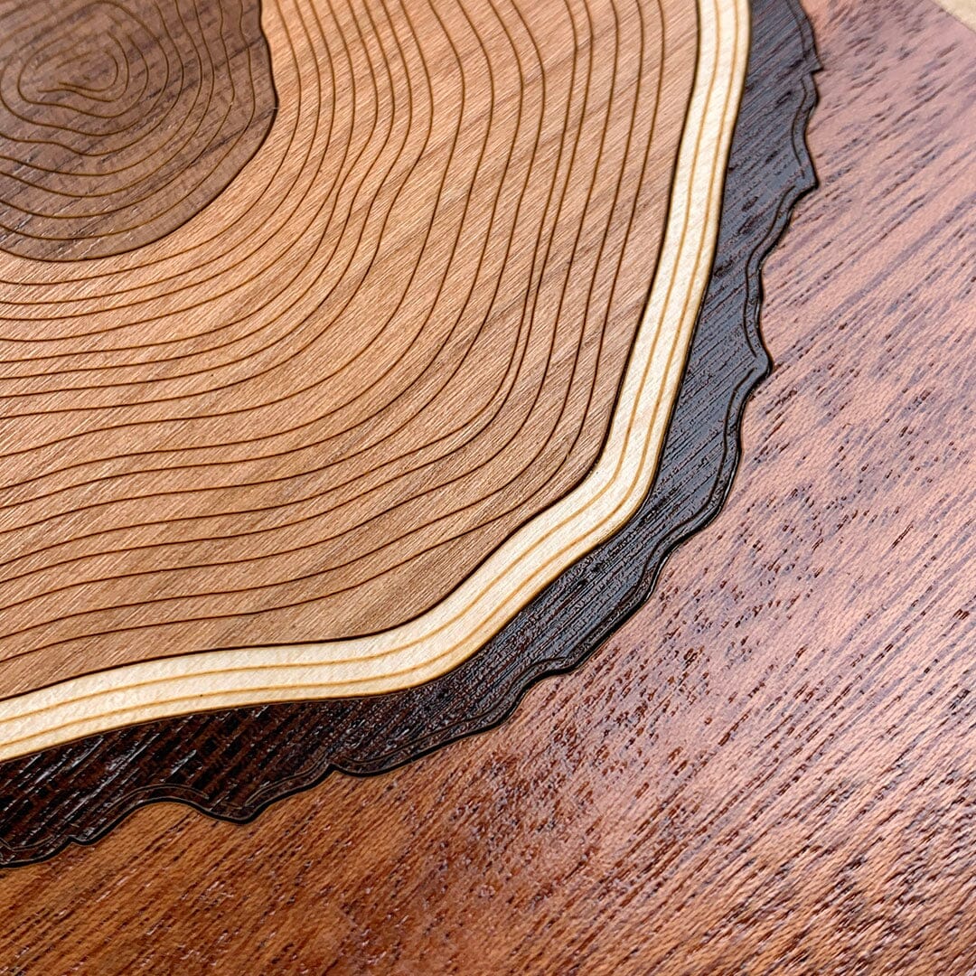 Head-on zoomed in detailed shot of the Arbor case featuring a tight pattern of Walnut, Wenge, Maple, and Padauk wood