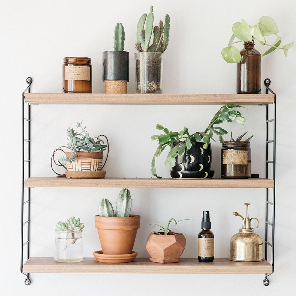 P.F. Candle - No.28: Black Fig