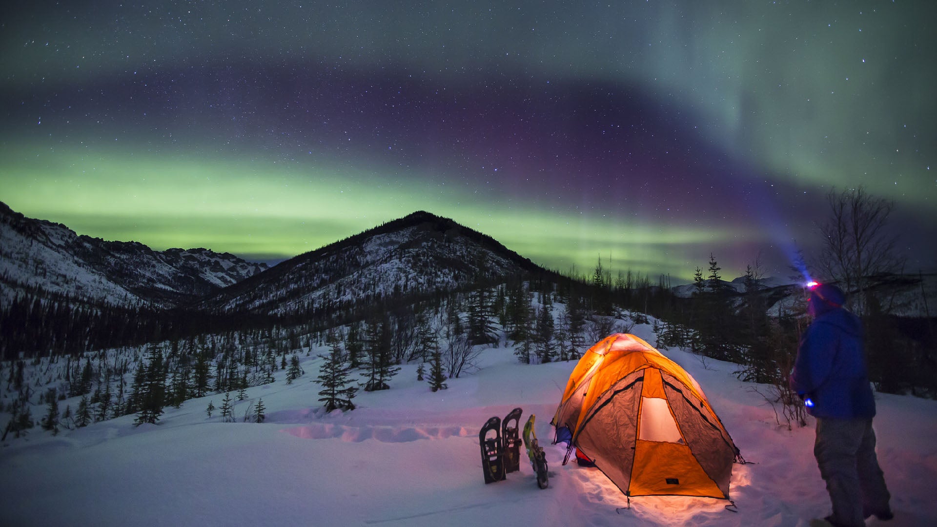 The Aurora Borealis dancing over the White Mountains of Alaska.Bob Wick/BLM