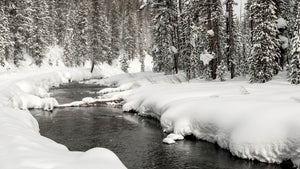 West Yellowstone, Montana, is transformed into a winter wonderland, with lots of outdoor adventures available for those who love the snow.Montana Office of Tourism and Business Development