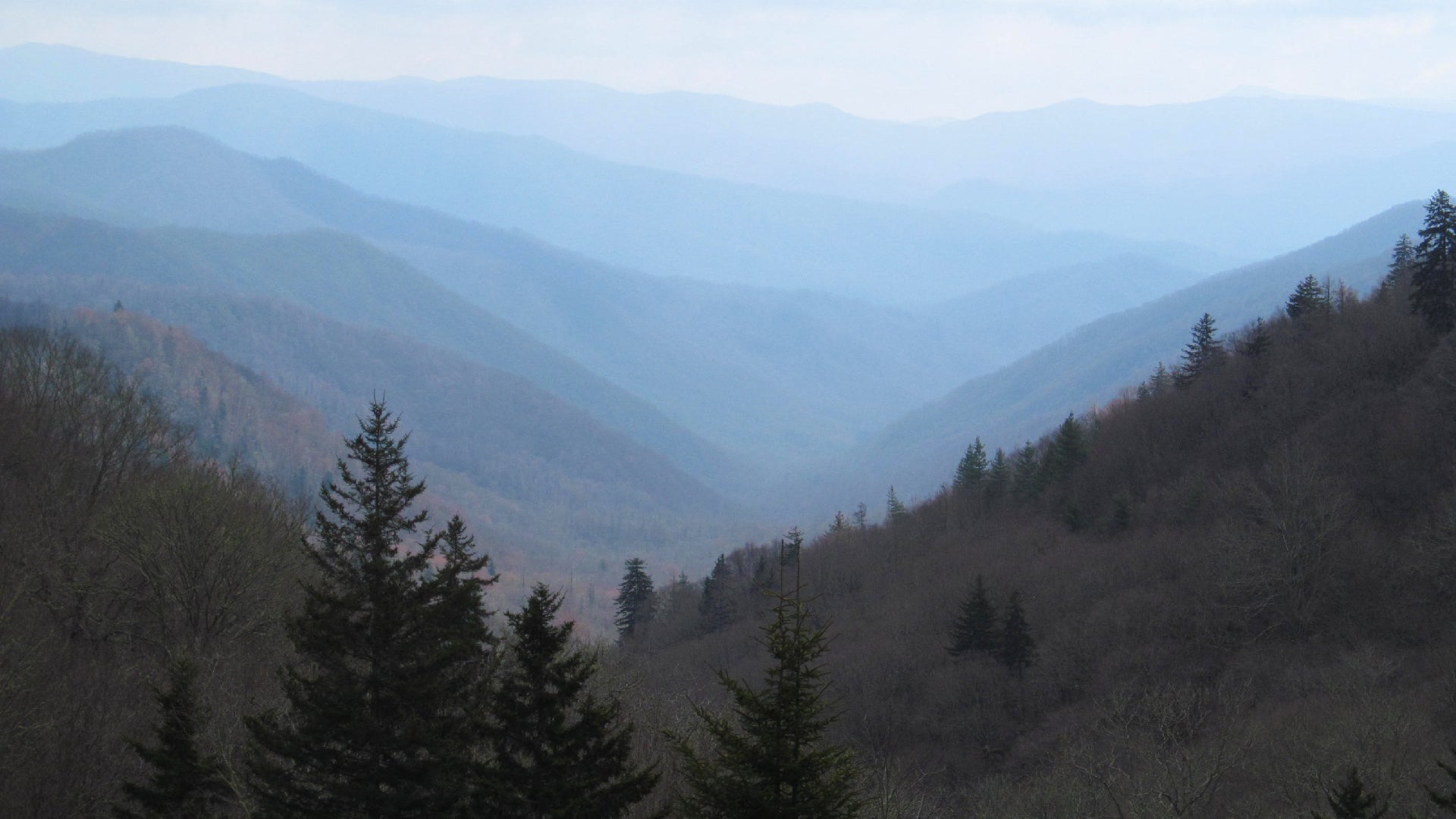 These tough hikes will get you to some of the best views in the Smoky Mountains.Doug Kerr