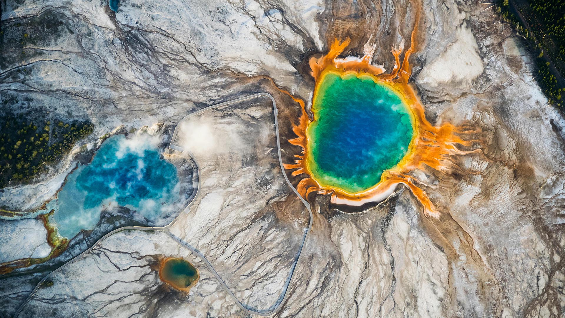 8 Reasons to Explore Yellowstone National Park