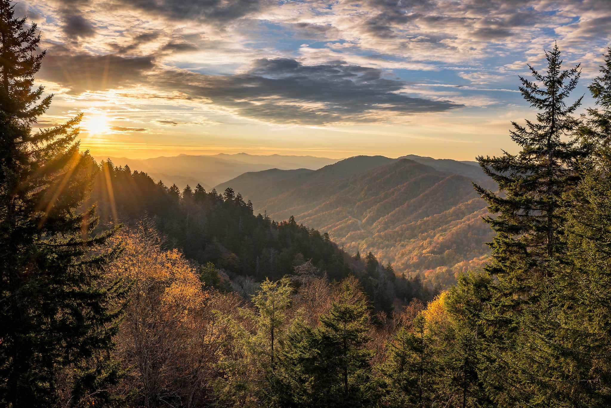 Beyond the Mist: A Journey Through 10 Interesting Facts of Great Smoky Mountains National Park