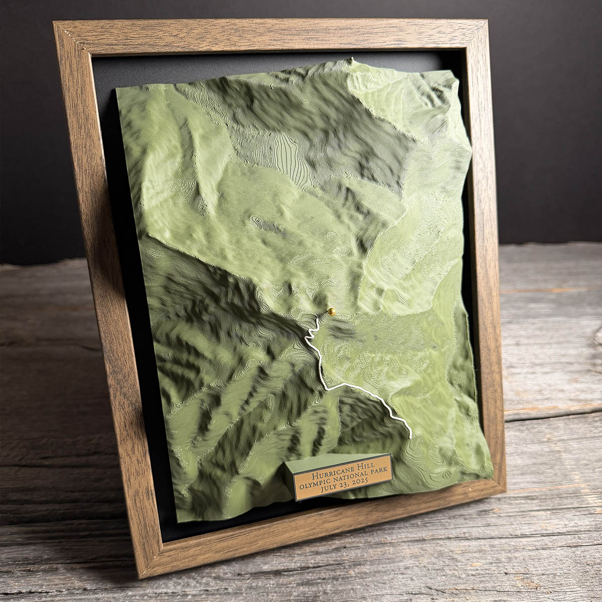 3D Printed map of Hurricane Hill, Olympic National Park, Washington, USA, handmade by Keyway