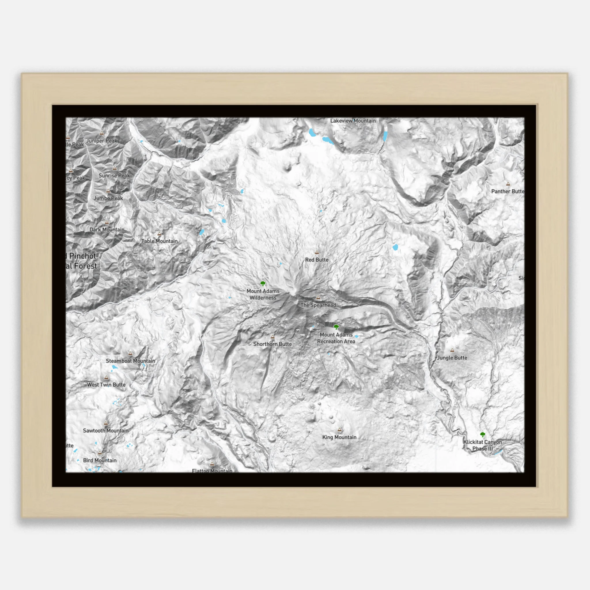 2025 Birch Landscape